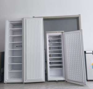 Congélateur vertical de qualité supérieure du marché sénégalais, 298 litres, avec 8 étages pour la fabrication de glace et le stockage du poisson, pour usage commercial - Product Image 3