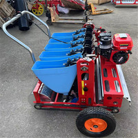 Planteuse d'ail électrique automatique Haomin pour usage domestique, petite, avec moteur, haute productivité, 6 rangs