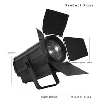 Warmweiß und Kaltweiß 250W LED Studio Fresnel Light für Theater TV Show