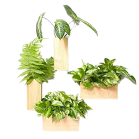 4 Paket Pot Tanaman Lantai Kayu Pinus Modern Ramah Lingkungan Dapat Disesuaikan Tanpa Lapisan untuk Rumah Kantor Pot Bunga Gantung Karton