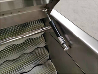 Shouchuang Goedkope Prijs Commerciële Automatische Aardnoot Rode Huid Dunschiller Droge Pinda Schilmachine
