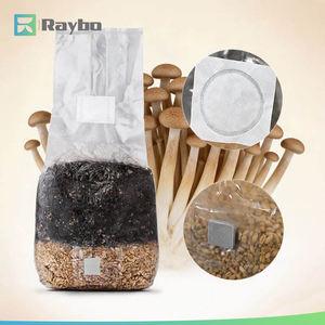 RAYBO 6ポンド ポリプロピレン素材 ライオンズメイ マッシュルーム栽培バッグ 自己修復注入ポート付き - Product Image 2