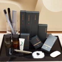 Kits dentaires d'hôtel Ranbay personnalisables haut de gamme en plastique, avec estampage à chaud doré et éléments de style chinois, articles de toilette pour hôtel