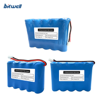 Pack de batteries lithium-ion BITWELL série 5 18650 et 21700 18,5V 2000-5000mAh avec sortie câblée BMS pour la production d'énergie éolienne