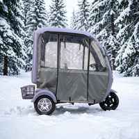 Tricycle électrique 48V 800W pour adultes, couleur personnalisable avec auvent coupe-vent
