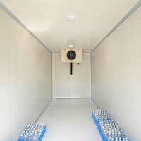 Chambre froide pour l'eau en sachet et le stockage de poulet, congélateur rapide haute efficacité, chambre de congélation rapide
