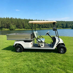 Voitures de golf électriques personnalisées, 2 places, véhicule chinois pas cher - Product Image 2