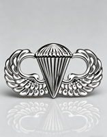 Insignia Metálica Personalizada 3D con Relieve de Ala de Paracaídas Antigua - Aleación de Zinc Chapada en Oro/Níquel para