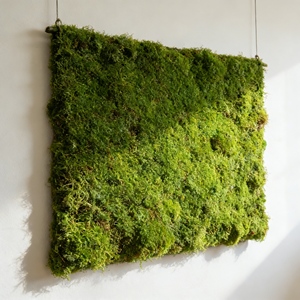 Arte de Musgo al por Mayor, Arte de Pared con Figuras de Musgo, Musgo Natural Real Ecológico para Decoración del Hogar y la Sala de Estar - Product Image 1