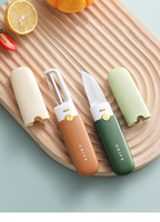 OEM Nouveau design tendance 2 en 1 Éplucheur de fruits et racloir à melon multifonctionnel en acier inoxydable, râpe de cuisine polyvalente avec PP