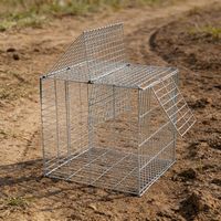 Nouvelle cage à pigeons à montage DIY pour la maison, maille fine, rotation automatique, galvanisée, montage facile