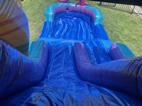 Maison gonflable à rebond Bluey Combo Kids Party Jumping Bouncing Bouncy Castle avec toboggan aquatique Moon Jumper Ball Pit Pool