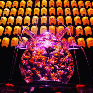 Acuario Acrílico en Forma de Flor Personalizado de Fábrica - Diseño Floral Elegante para Decoración Acuática - Product Image 3