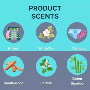 Diffuseur de parfum de voiture en plastique ultrasonique portable en gros Diffuseur électrique de brume <span class=keywords><strong>nano</strong></span> pour voiture Diffuseur sans eau avec vaporisateur démarrage-arrêt automatique - Product Image 5