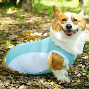 Gilet <span class=keywords><strong>rafraîchissant</strong></span> <span class=keywords><strong>pour</strong></span> chiens - Veste d'été respirante en polyester au design minimaliste moderne Modèle ST26 - Product Image 3