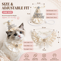 Ensemble chapeau et collier à volants pour fête d'anniversaire d'animaux de compagnie avec décoration en dentelle et nœud