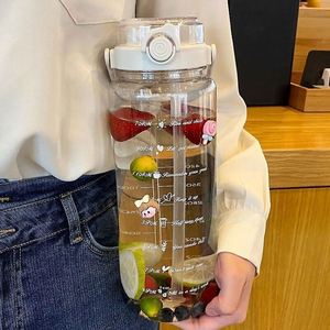 Double Wall Large Capacity Sports Water Bottle High Temperature Resistant <b>Plastic</b> Straw <b>Cup</b> Safe for Men Women Children Camping - Product Image 2