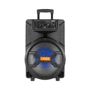 Düşük fiyat 12 inç en çok satan 12V DC güç taşınabilir şarj edilebilir açık karaoke 5.0 BT arabası hoparlör ile pil