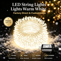 Guirlandes lumineuses LED OEM pour l'extérieur, décoratives, pour la maison, les fêtes, les mariages, Noël, guirlandes lumineuses LED personnalisées