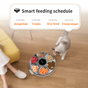 Durevole WIFI Smart automatico alimentatore eco-friendly plastica Dispenser Timer per cani 6 pasti per cibo umido secco per animali domestici - Product Image 2