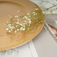 Assiettes de Présentation Dorées pour Mariage, Délicatement Élégantes, Bordure à Petits Points, Décoratives, en Mélamine Écologique, 13 Pouces, Vente en Gros