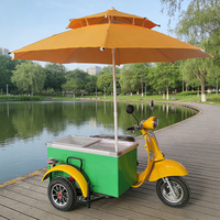 Chariot mobile de vente rapide pour aliments surgelés et crèmes glacées avec parasol, en tôle galvanisée résistante à la rouille