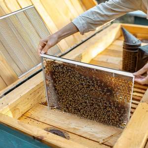 Venta caliente en EE. UU. Metal galvanizado Queen Excluder Equipo de apicultura Queen Bee Excluder para colmenas de 10 marcos - Product Image 1