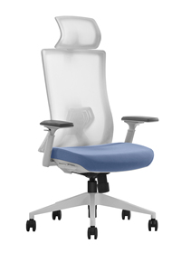 Adjustable Back <strong>Arm</strong> Office <strong>Mesh</strong> <strong>Chair</strong> Most Popular Ergonomic China <strong>Fabric</strong> SK9 Executive <strong>Chair</strong> 3 Years Traditional 4 Gas Lift