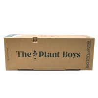 2025 papier kraft recyclable logo de marque personnalisé emballage d'expédition d'usine boîte de papier ondulé de plante naturelle vivante en pot