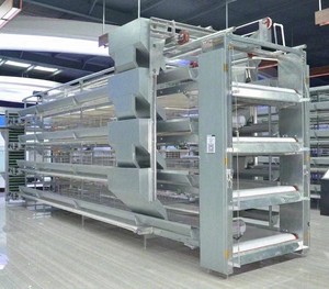 <span class=keywords><strong>H</strong></span> gabbia a doppio lato dello strato impilato del cavo galvanizzato verticale, 2 strati, può allevare i polli 120 - Product Image 4