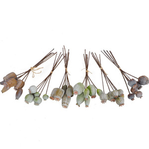 N-070 Vente en gros de graines de coquelicot artificielles en capsules avec branches, fausses fleurs de <span class=keywords><strong>gypsophile</strong></span> pour la décoration de jardins extérieurs - Product Image 4