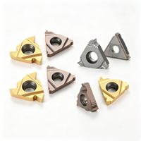 Custom OEM Carbide External Threading Inserts TiN/TiAlN Coated CNC Lathe Turning Tools Anti-wear Thread Cutting Inserts