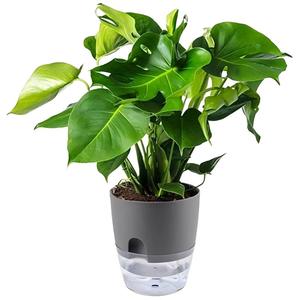 Macetas de Plástico Transparentes Modernas con <span class=keywords><strong>Autorriego</strong></span> al por Mayor, Macetas <span class=keywords><strong>Grandes</strong></span> para Plantas de Interior del Hogar - Product Image 4