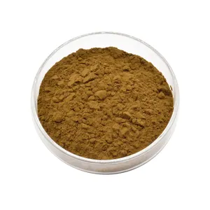 Factory Supply High Quality Ajuga Ciliata Extract Turkesterone Powder 2%