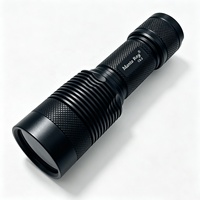 Lampe torche LED UVC 10W 254nm rechargeable 26650 à ondes courtes pour la détection de minéraux fluorescents et de pierres précieuses C8.2