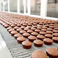 2025 Sanfu Volledig Automatische Muffin & Cupcake Productielijn met Mixer Deegmixer Chocolade & Fruitcake Bakmachine 220V