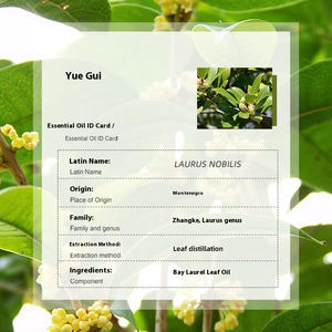 Huile essentielle de <span class=keywords><strong>laurier</strong></span> <span class=keywords><strong>des</strong></span> <span class=keywords><strong>montagnes</strong></span> noires distillée biologique Huile essentielle pure de haute qualité pour les soins de la peau en aromathérapie - Product Image 3