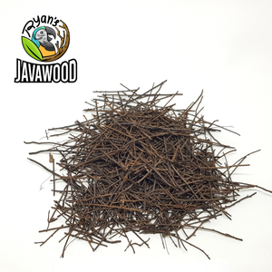 Дерево папоротника из Индонезии, мягкое дерево, экологически чистое 100% натуральное и устойчивое! Из центральной <span class=keywords><strong>Java</strong></span> Индонезия - Product Image 2