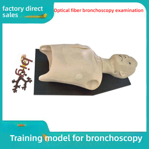 Modelo de simulación pulmonar bronquial para entrenamiento en escuelas de medicina, <span class=keywords><strong>endoscopia</strong></span> de fibra óptica de PVC, procedimientos orales de auscultación pulmonar - Product Image 2