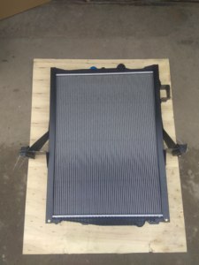 Accessoire de radiateur de camion <span class=keywords><strong>Sterling</strong></span> 21649619 - Product Image 3