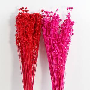 Натуральные сушеные красные стручки акации, 80 г/пучок, для украшения торта - Product Image 4