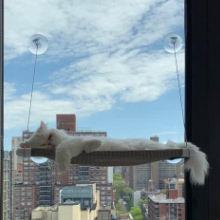 Hamaca para gatos con ventosa, percha, comodidad ajustable, tela Oxford, ventana portátil de plástico, cama para gatos - Product Image 6