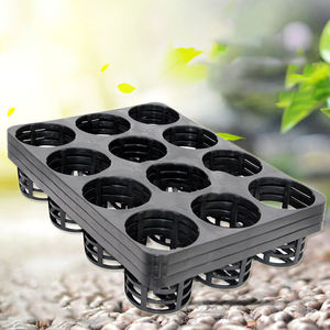 LT298 Bandeja <span class=keywords><strong>de</strong></span> Plástico para Macetas <span class=keywords><strong>de</strong></span> Orquídeas <span class=keywords><strong>Phalaenopsis</strong></span>, Nueva Bandeja Negra para Semilleros, Soporte para Plantas, Bandeja <span class=keywords><strong>de</strong></span> Cultivo <span class=keywords><strong>de</strong></span> 12 y 15 Agujeros, Soporte <span class=keywords><strong>de</strong></span> Plástico para Flores - Product Image 6