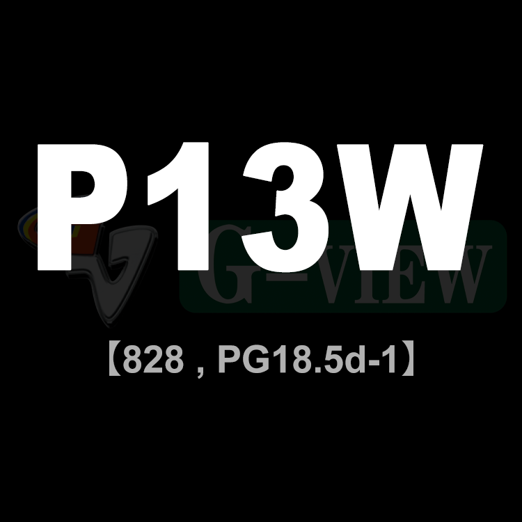 30SMD 3020-P13W