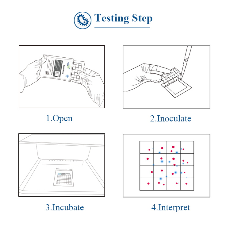 FSTest Pathogens Express Confirm Lab Supplies Staphylococcus Aureus Count Plate