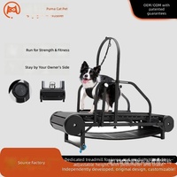Tapis roulant spécial en acier inoxydable pour chiens de grande et moyenne taille, hauteur réglable, compteur de pas, frein, comptage des pas pour l'entraînement des chiens