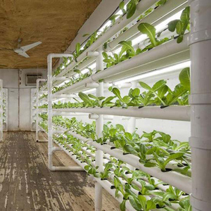 Grande Ferme Conteneurisée de 40 pieds en Acier Corten Isolé avec Système Hydroponique NFT, Contrôle Climatique Automatisé et Éclairage Motorisé pour la Culture de Légumes Feuillus - Product Image 2