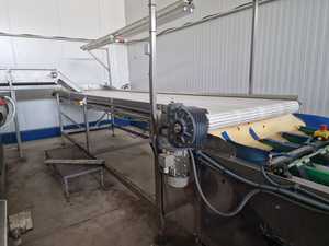 Multiscan 8 lignes pour la cerise en Espagne Top Design Utilisé Machine de classement de fruits Fabricant haut de gamme Ligne de classement de tri - Product Image 5