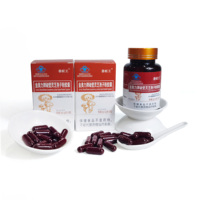 Capsules de poudre de spores de Ganoderma murale en vrac les plus vendues - Complément alimentaire pour le soutien immunitaire des adultes