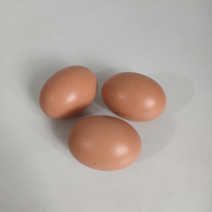 Faux œufs <span class=keywords><strong>de</strong></span> pâques en plastique, jouet pour enfants, jeu <span class=keywords><strong>de</strong></span> <span class=keywords><strong>cuisine</strong></span>, nourriture, jeu <span class=keywords><strong>de</strong></span> poulet, réaliste - Product Image 5